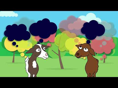 Mindfulness Practice: The 5 Senses