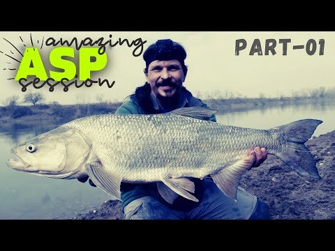 INCREDIBLE ASP Spinning Session in the Winter (Part.1)