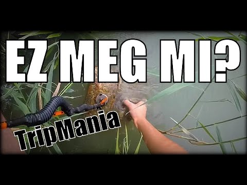 ha amikor leszokik a tartós köhögésről denis minin, hogyan lehet leszokni a dohányzásról