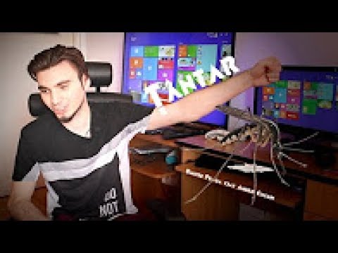 Dmitrii Praga - Țânțar (ft. Andrei Cosmin) [18+] | (Bass Boosted)