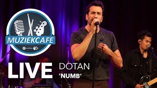 Dotan - 'Numb' live bij Muziekcafé Dotan - 'Numb' live bij Muziekcafé