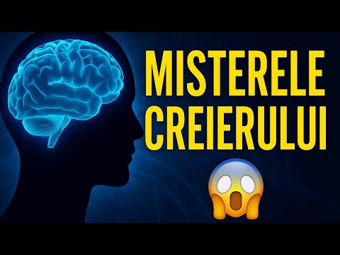 The greatest mysteries of the human brain 🧠 #curiosities | vreusastii
