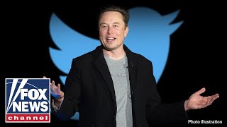 'The Five': Elon Musk causes media meltdown after latest Twitter move