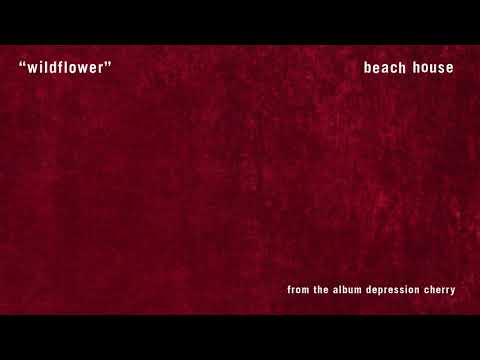 Wildflower のサムネイル