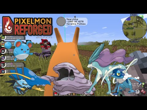 Pixelmon Reforged: Suicune Appears! Ep. 30