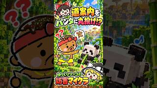 【マイクラ】村の場所をパンダに聞いてみた結果【妨害マイクラ / minecraft 】 #ゆっくり実況  #shorts #マイクラ