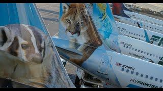Frontier Airlines I P O  Signals a Travel Industry Recovery