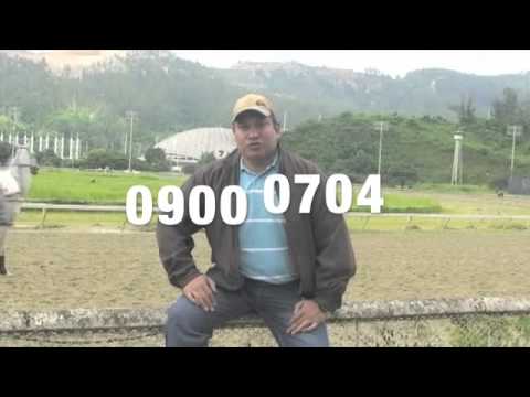 AFICIÓN HÍPICA TV INTERNACIONAL DOMINGO 12 DE ABRIL 2015