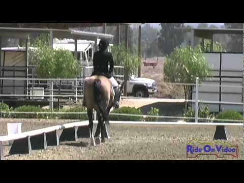 062D Gemma Cock Training Rider Champs. Dressage Eventing at Copper Meadows Sept. 2011