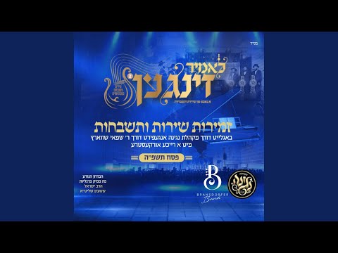 R' Yom Tov Ehrlich (feat. Negina Choir)
