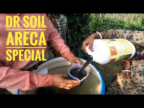 DR SOIL ARECA SPECIAL THIRD ROUND DRENCHING FOR ARECANUT@MICROBIAGROTECH