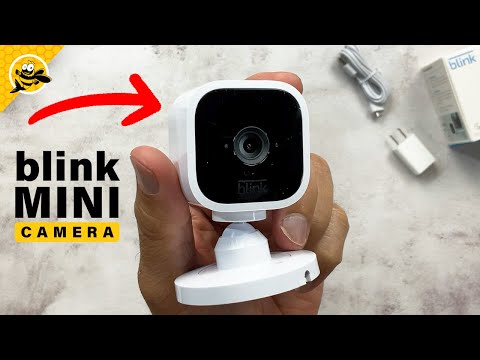 Blink Mini Indoor Security Camera - Setup & First Impressions!