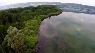preview picture of video 'Birdwatching Lago Viverone - Riprese Aeree con Drone'