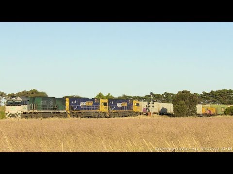 MP2 Container Wagons With NR85 - PoathTV Australian Trains & Railways