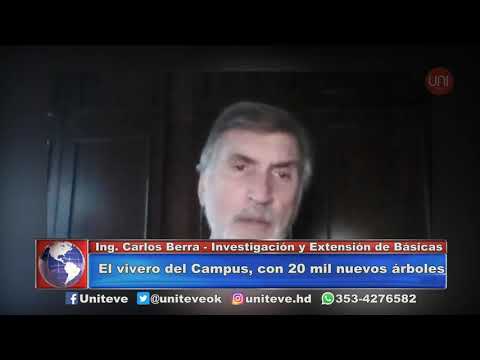 Veinte mil árboles en la UNVM