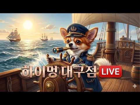 ❤️확실한애견분양 ❤️실시간상담가능 ❤️전국모든곳분양가능 ❤️강…