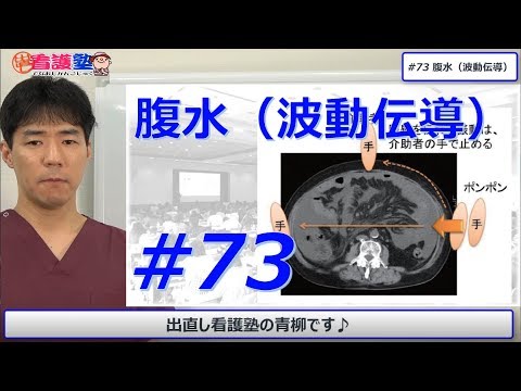 猫の腹水 – 原因と治療法