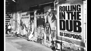 Adele- Rolling In The Dub (Shepdog Mix)