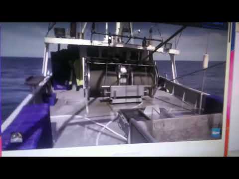 Finding Percy Part 28