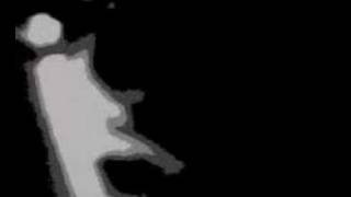 Venus Fly Trap (UK) - Morphine