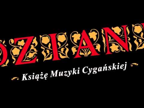 Dziani - koncert w Blue Kaktusie w Toruniu 18.01.2013 - zaproszenie