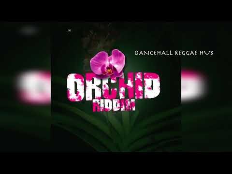 ORCHID RIDDIM MIX (I Wayne, D Major, Cecile) H2O Records – 2020 Reggae