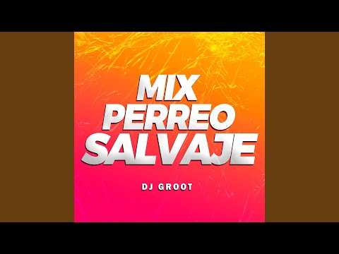 Mix Perreo Salvaje