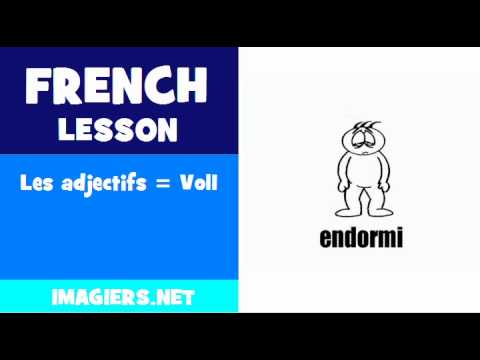 FRENCH LESSON #184 = Les adjectifs = Vol1