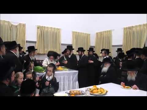 Tu Bishvat 5776 With Nadvorna Yerushalayim Rebbe