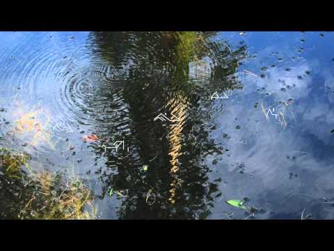 Buses Splash With Rain - Frankie Cosmos