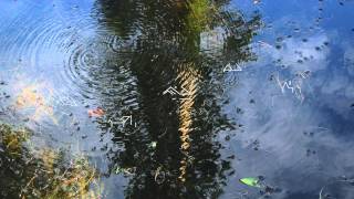 Frankie Cosmos - Buses Splash With Rain