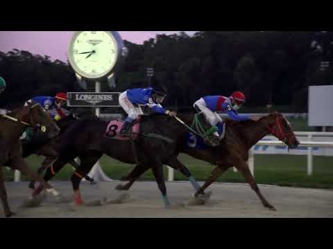 220213 c10 1° AMMI RUNNER