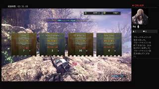 モンハン　アイスボーン　のんびり配信　（声なし)