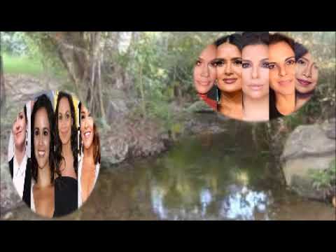 ADIOS LINDA MORENA Un Sax Jubilado