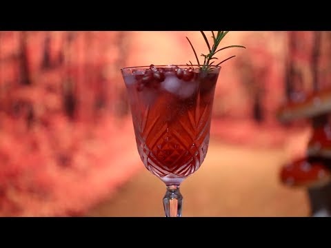 Pomegranate Rosemary Gin Fizz