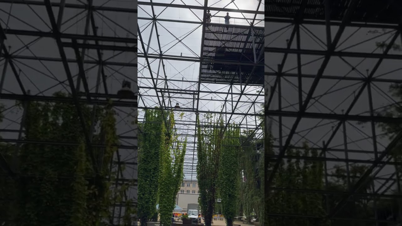 YouTube Short thumbnail