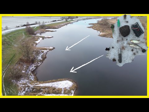 Fishing for burbot in winter on the Elbe River with live bait and worms ❄️ Will I catch a freshwa...
