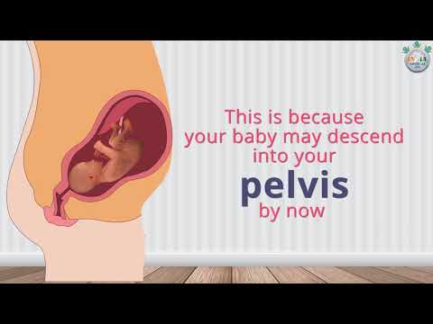 Pregnancy Symptoms at 36th Week of Pregnancy Part 2