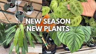 What’s Popping Up at the Nursery?! 🌿 So Many Temptations!