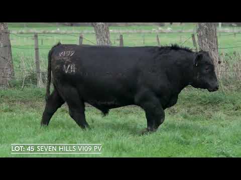 Lot 45  SEVEN HILLS V109 PV