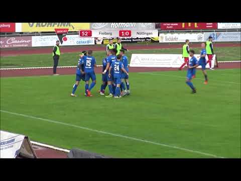 Die TORSHOW aus dem Spiel  dem Topspiel der Oberliga Baden-Württemberg SGV Freiberg - FCN 1:1 ...