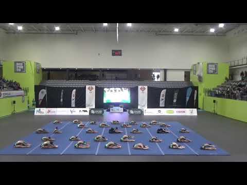 GymforLife, '19 - Meraki, scp