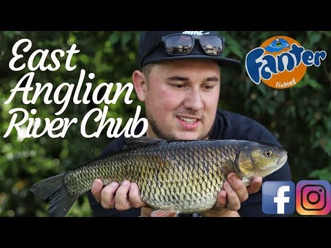 Stalking East Anglian River Chub - NEW PB
