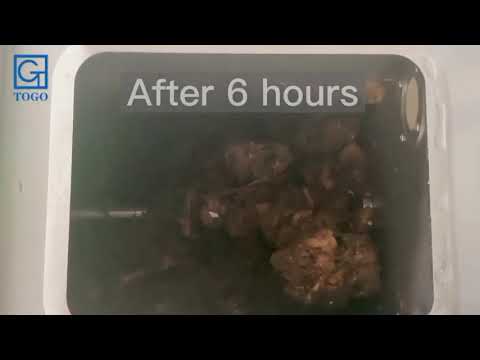 Household Indoor Garbage Recycling Disposer Home Food Waste Composting Machine - TG-CC-5