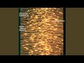 Fried Bananas (Live)