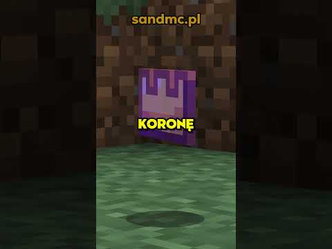 Ten gracz miał najlepszy start na trybie Anarchia FFA! #minecraft #anarchia #dexsi #shorts