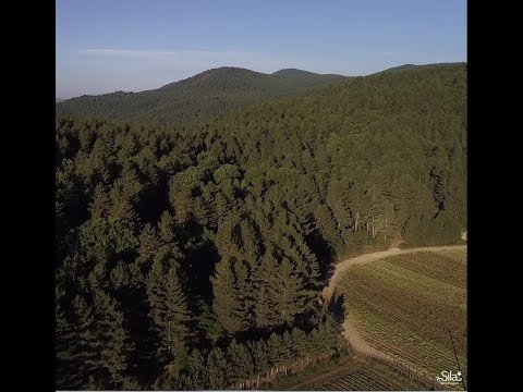 Agricoltura in Sila con l'Azienda Tarasi