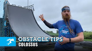 Obstacle Tips: Colossus