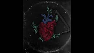 NOVO - Love or Madness (Official Audio)