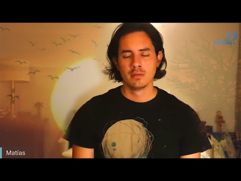 Day 341 SEED Alignment - Matias De Stefano - English Edit